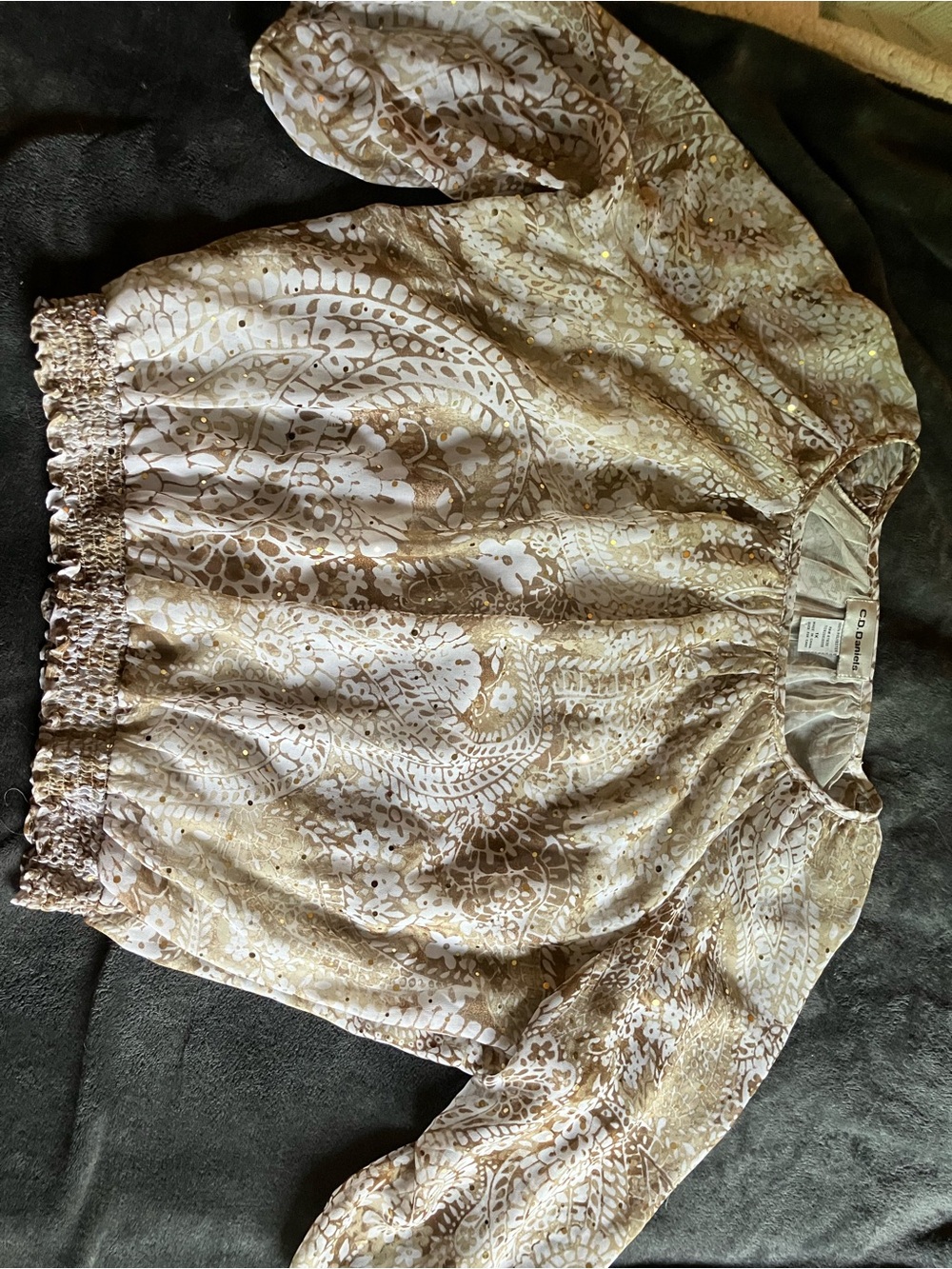 CD Daniels Sheer Blouse